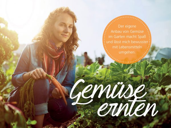 010044_2018_09_Gemüse ernten-Facebook