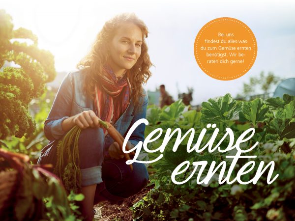 010044_2018_09_Gemüse ernten-Printbanner