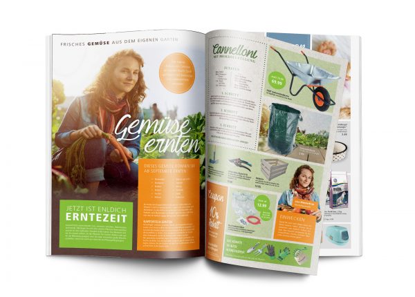 010044_2018_09_Gemüse-ernten_Header1