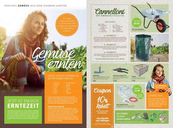 010044_2018_09_Gemüse_ernten