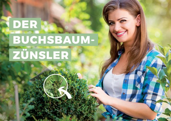 010063_2019_05_Buchsbaumzünzsler – was tun_Banner_212x150cm