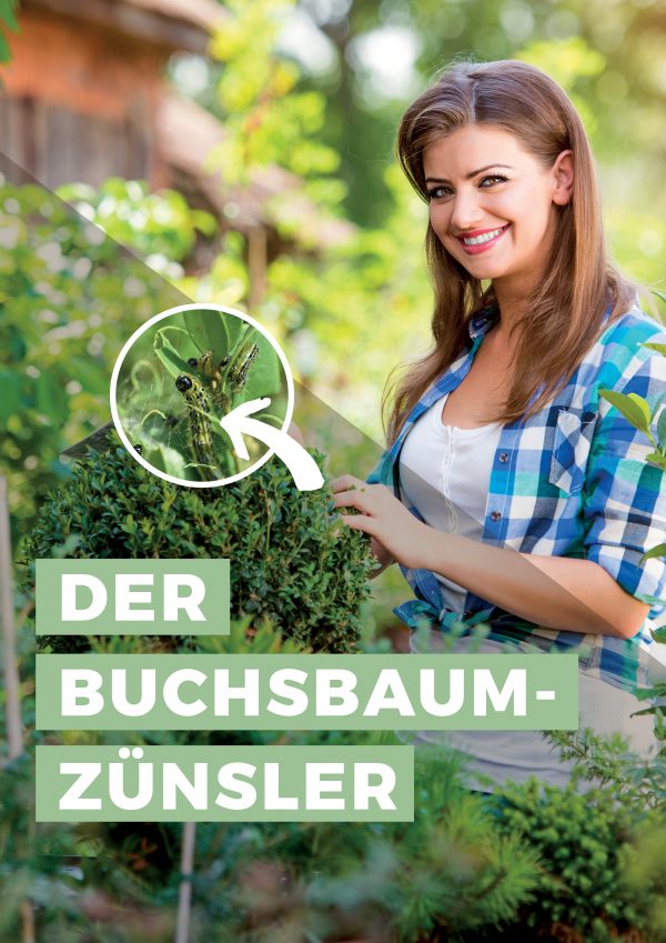 010063_2019_05_Buchsbaumzünzsler – was tun_Plakat_A1