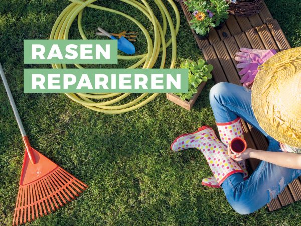 010064_Rasen reparieren_Facebook_1200x900px