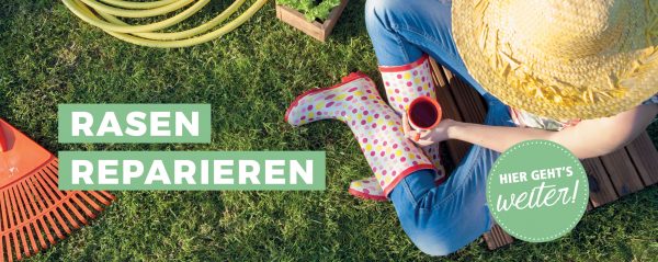 010064_Rasen reparieren_Webbanner_880x350px