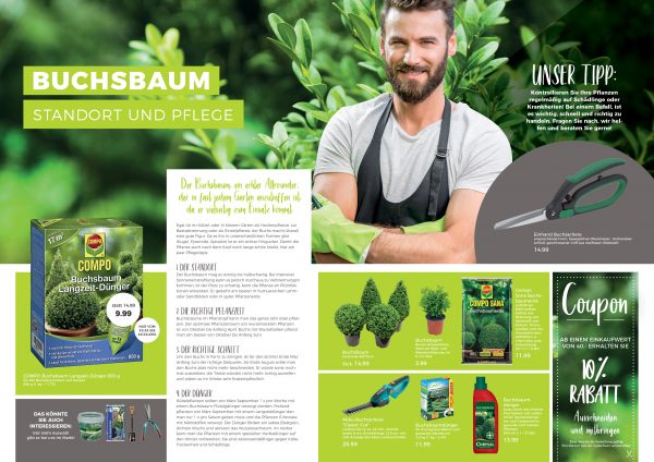 010065_Buchsbaum – Standort und Pflege