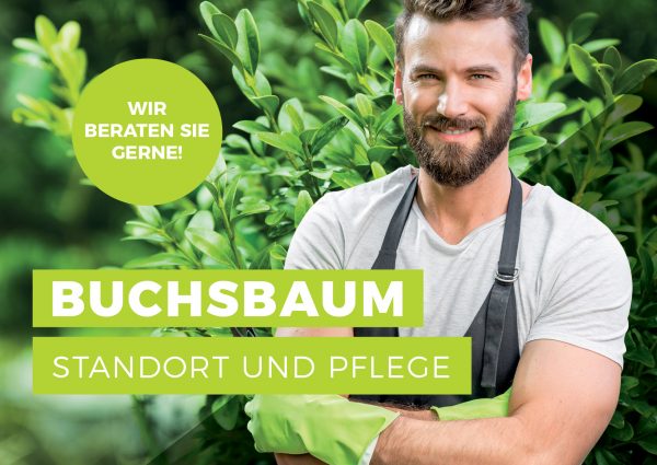 010065_Buchsbaum – Standort und Pflege_Banner_212x150cm