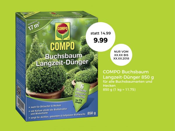 010065_Buchsbaum – Standort und Pflege_Facebook_3_1200x900px3