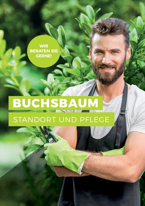 010065_Buchsbaum – Standort und Pflege_Plakat_A1