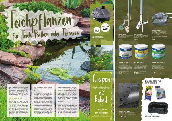 010075_2019_06_Teichpflanzenpflege