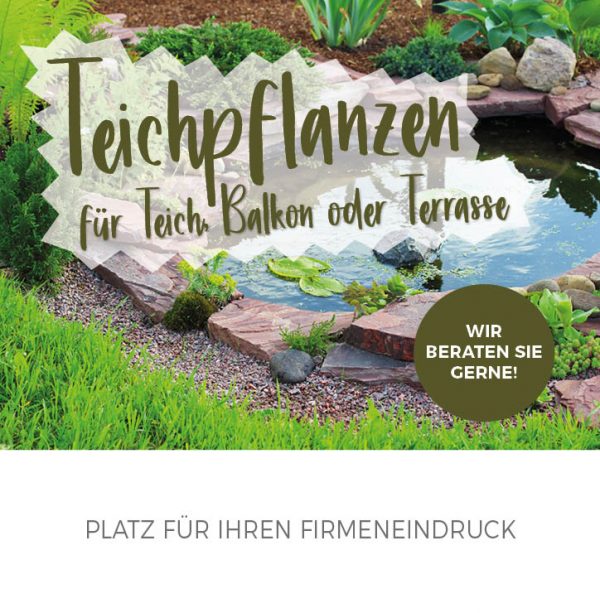 010075_2019_06_Teichpflanzenpflege_92x94mm