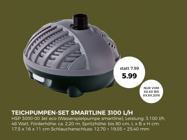 010075_2019_06_Teichpflanzenpflege_Facebook_3_1200x900px3