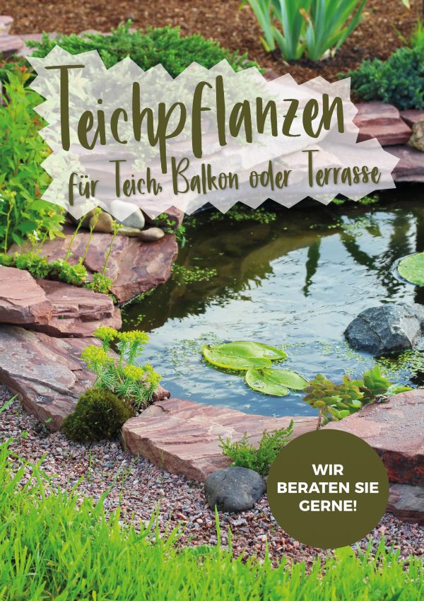 010075_2019_06_Teichpflanzenpflege_Plakat_A1