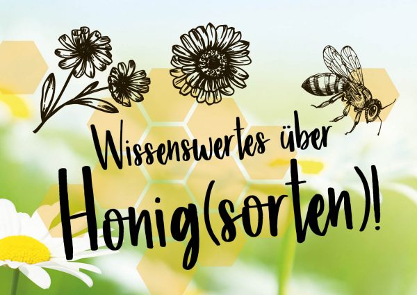 010077_201903_Wissenswertes über Honig_212x150cm