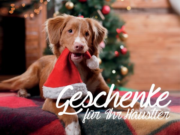 030010_2018_11_Weihnachtsgeschenke für Haustiere_Facebook_1_1200x900px