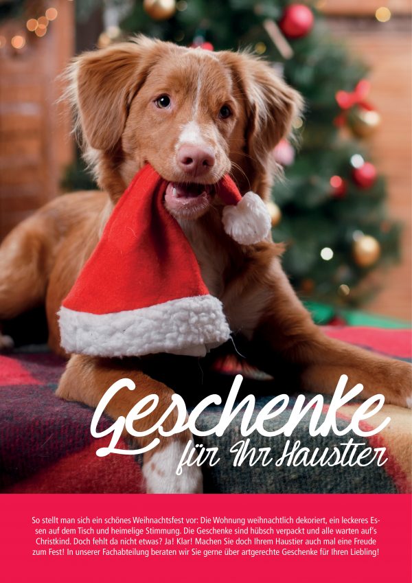 030010_2018_11_Weihnachtsgeschenke für Haustiere_Plakat A1