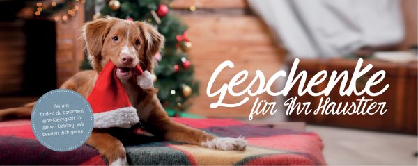 030010_2018_11_Weihnachtsgeschenke für Haustiere_Web-Banner_880x350px