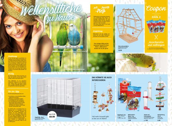 030011_2018_06_Wellensittiche zu Hause