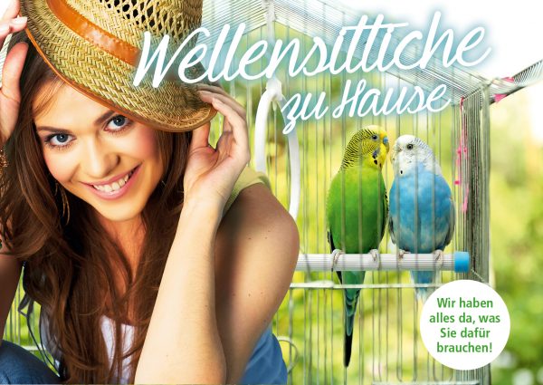 030011_2018_06_Wellensittiche zu Hause_Banner_212x150cm