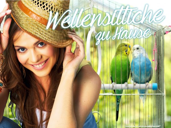 030011_2018_06_Wellensittiche zu Hause_Facebook_1_1200x900px