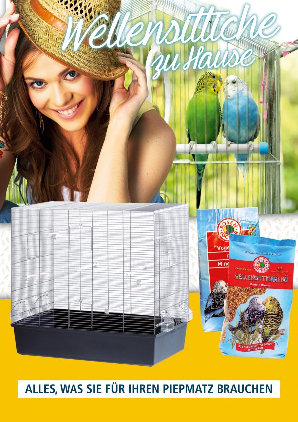 030011_2018_06_Wellensittiche zu Hause_Plakat A1