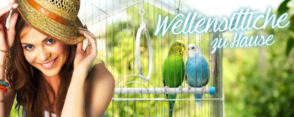 030011_2018_06_Wellensittiche zu Hause_Web-Banner_880x350px