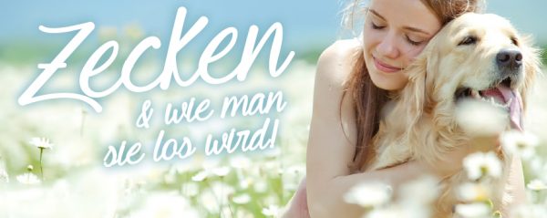 030013_2018_07_Zeckenschutz Hund_Web-Banner_880x350px