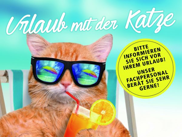 030014_2018_08_Urlaub mit der Katze_Facebook01