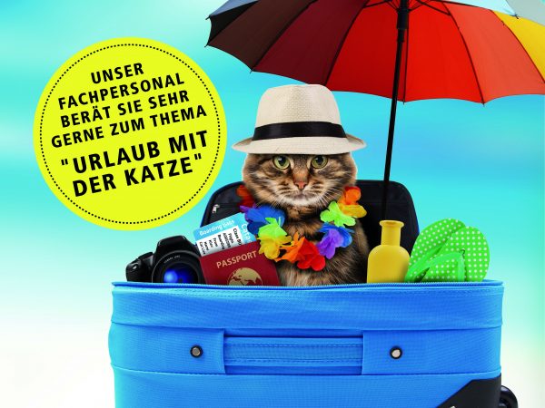 030014_2018_08_Urlaub mit der Katze_Facebook02