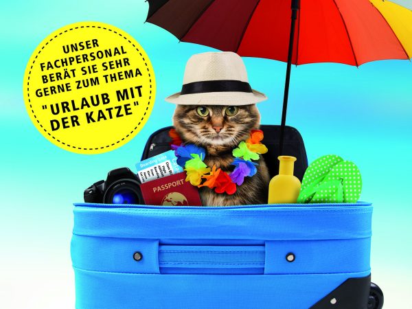 030014_2018_08_Urlaub mit der Katze_Printbanner