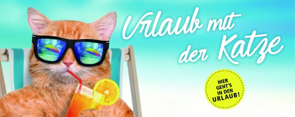 030014_2018_08_Urlaub mit der Katze_Webbanner
