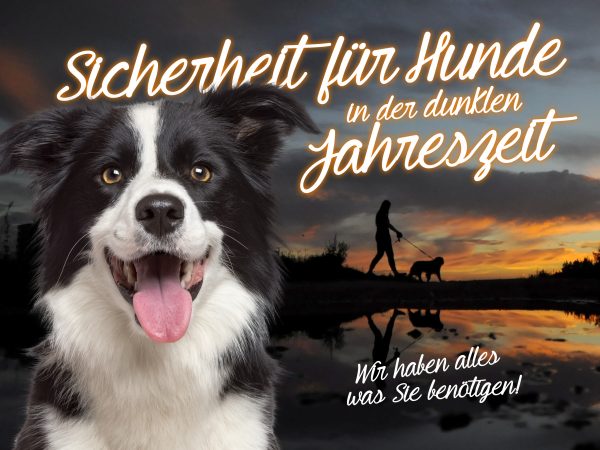 030015_2018_09_Hunde in der dunklen Jahreszeit_Facebook_1_1200x900px
