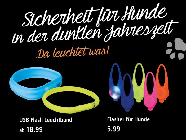 030015_2018_09_Hunde in der dunklen Jahreszeit_Facebook_3_1200x900px