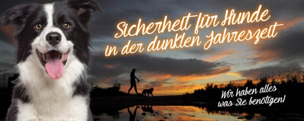 030015_2018_09_Hunde in der dunklen Jahreszeit_Web-Banner_880x350px
