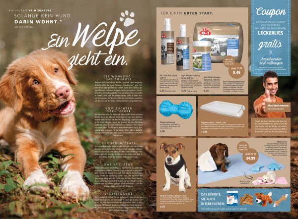 030016_2018_10_Ein-Welpe-zieht-ein