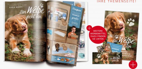 030016_2018_10_Ein-Welpe-zieht-ein_Header