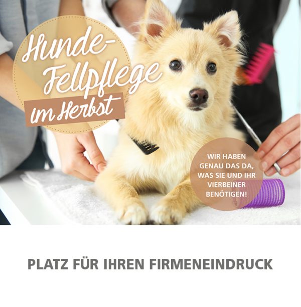 030018_2018_10_Hunde-Fellpflege im Herbst (Winterfell)_Anzeige_92x94mm