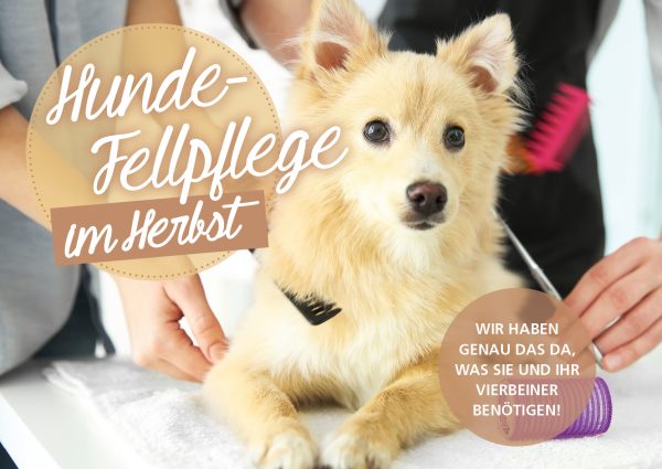 030018_2018_10_Hunde-Fellpflege im Herbst (Winterfell)_Banner_212x150cm