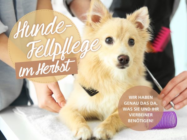 030018_2018_10_Hunde-Fellpflege im Herbst (Winterfell)_Facebook_1_1200x900px