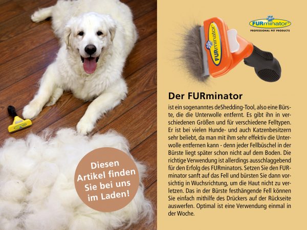 030018_2018_10_Hunde-Fellpflege im Herbst (Winterfell)_Facebook_3_1200x900px