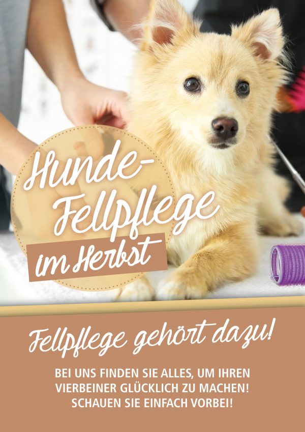 030018_2018_10_Hunde-Fellpflege im Herbst (Winterfell)_Plakat A1