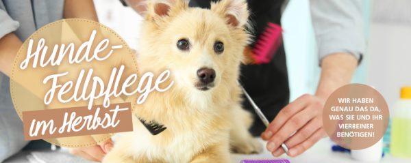 030018_2018_10_Hunde-Fellpflege im Herbst (Winterfell)_Web-Banner_880x350px