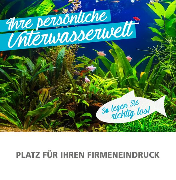 2018_04_Aquarium einrichten_Anzeige_92x94mm