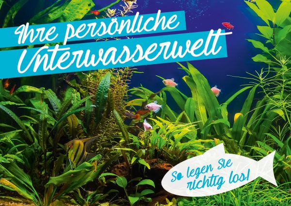 2018_04_Aquarium einrichten_Banner_212x150cm