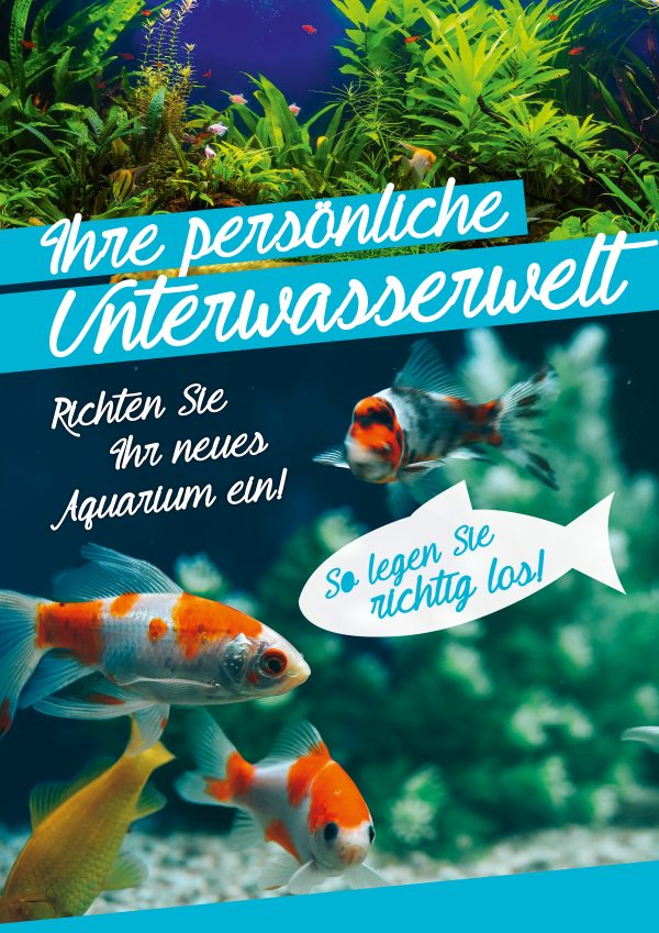 2018_04_Aquarium einrichten_Plakat A1