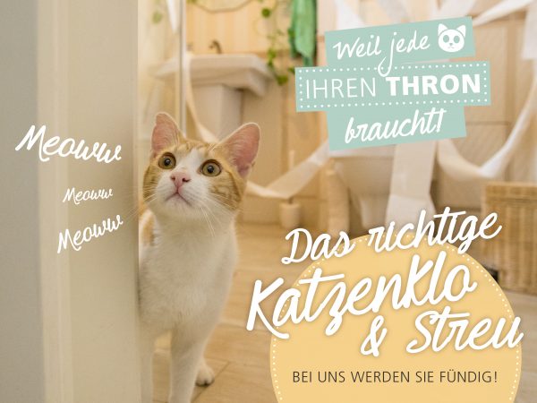 2018_05_Das richtige Katzenklo und Katzenstreu_Facebook_1_1200x900px