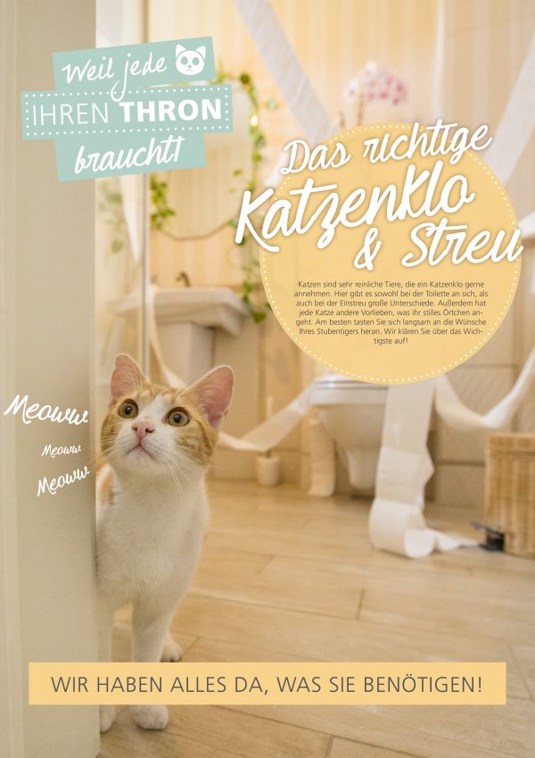 2018_05_Das richtige Katzenklo und Katzenstreu_Plakat A1