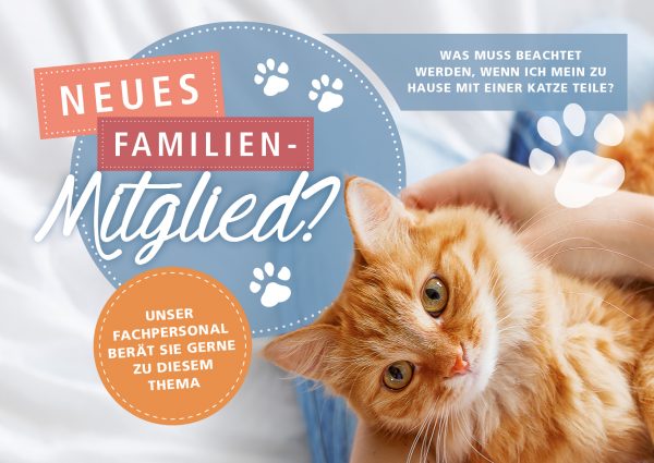 2018_07_Katzen-ABC_eine-Katze-zieht-ein_Banner_212x150cm
