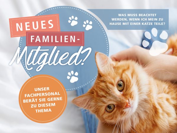 2018_07_Katzen-ABC_eine-Katze-zieht-ein_Facebook_1_1200x900px