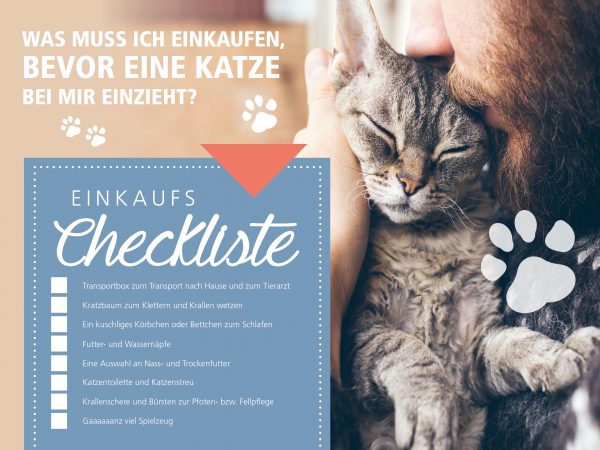 2018_07_Katzen-ABC_eine-Katze-zieht-ein_Facebook_3_1200x900px