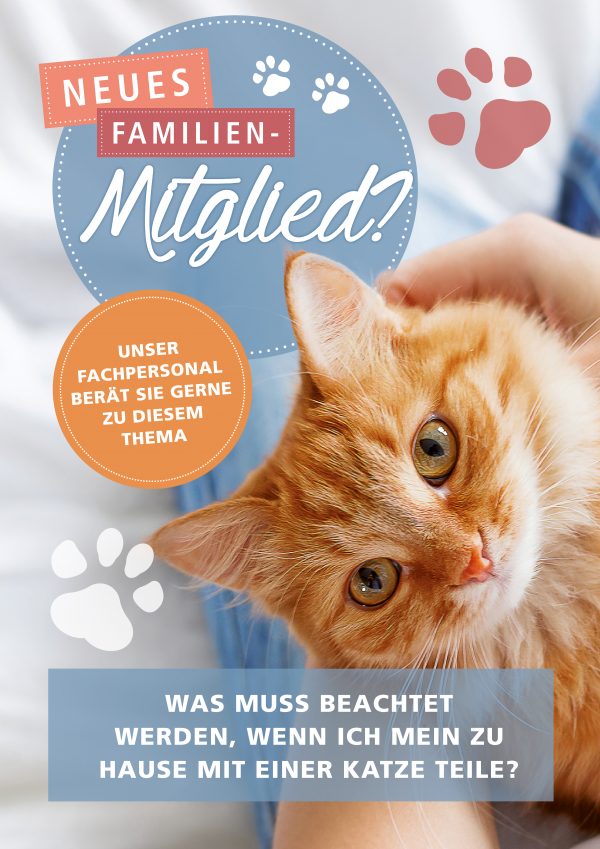 2018_07_Katzen-ABC_eine-Katze-zieht-ein_Plakat_A1
